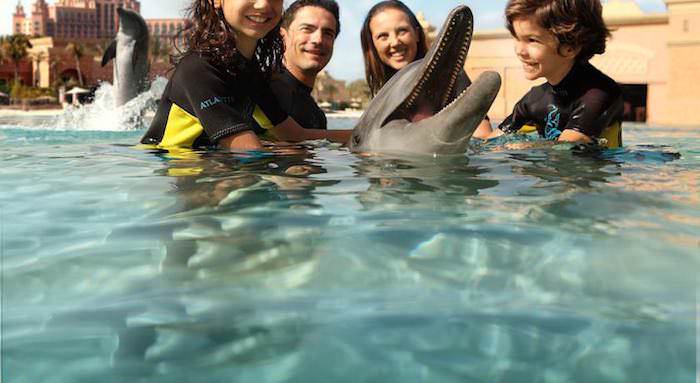 El delfinario es una de las actividades imperdibles en el Parque Atlantis Aquaventure