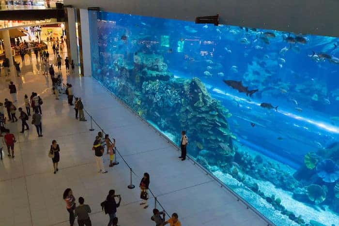 Acuario en el Dubai Mall