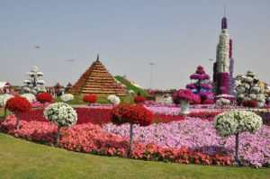 Dubai Miracle garden: qué ver, boletos y cómo llegar