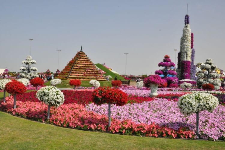 Dubai Miracle Garden, el Jardin de los milagros