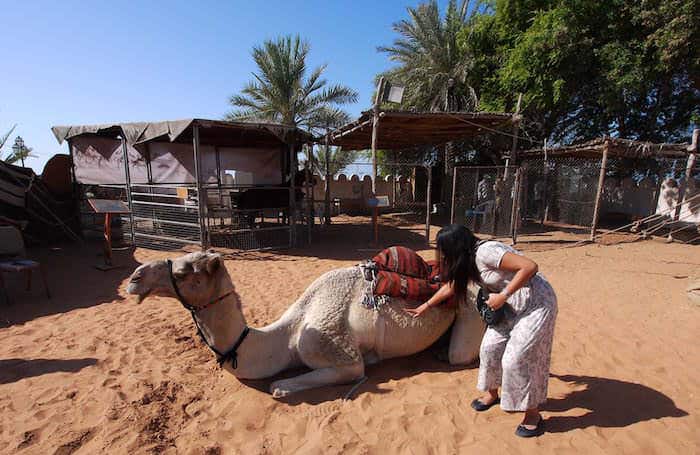Reconstrucción de un pueblo beduino en el Abu Dhabi Heritage Village