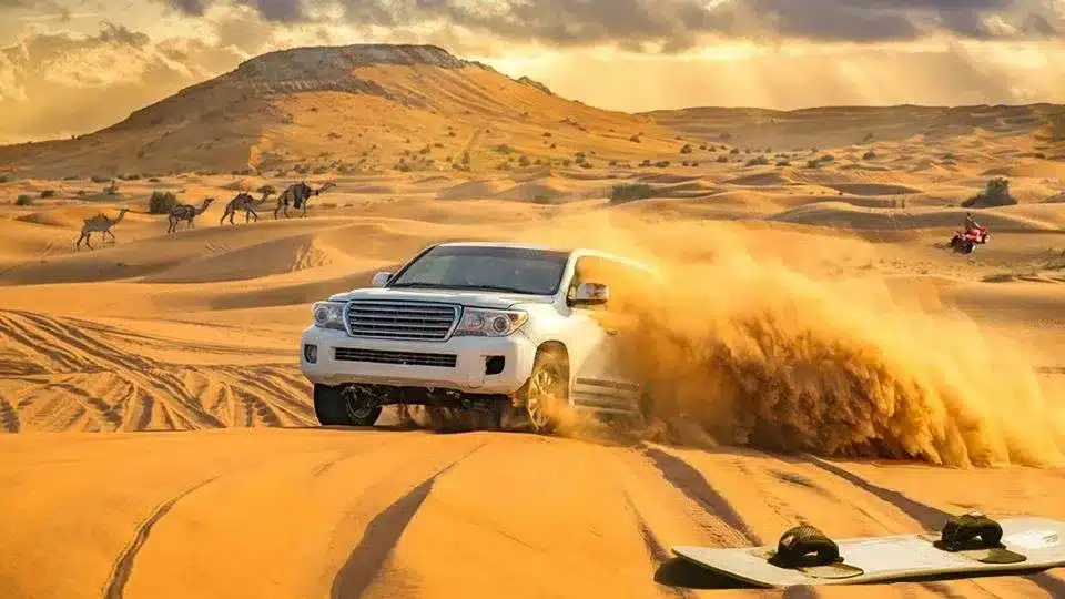 Safari por las dunas rojas, paseo en camello, quads y campamento beduino
