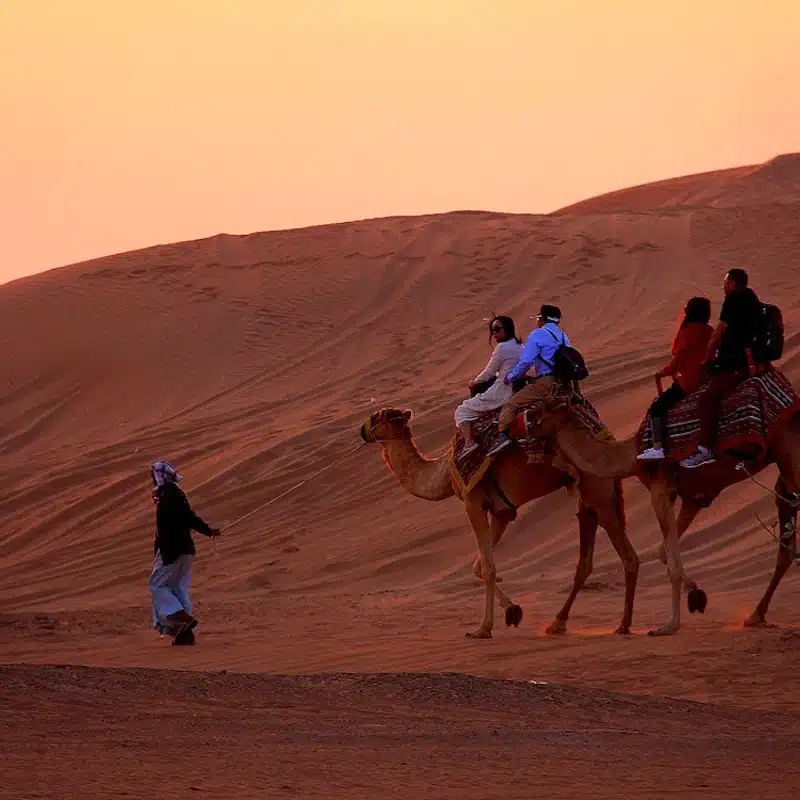 Safari nocturno por el desierto con paseo en camello, sandboarding, entretenimiento en vivo y cena de barbacoa