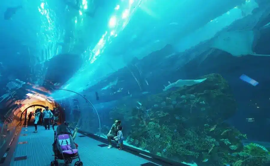 El túnel del acuario de Dubái